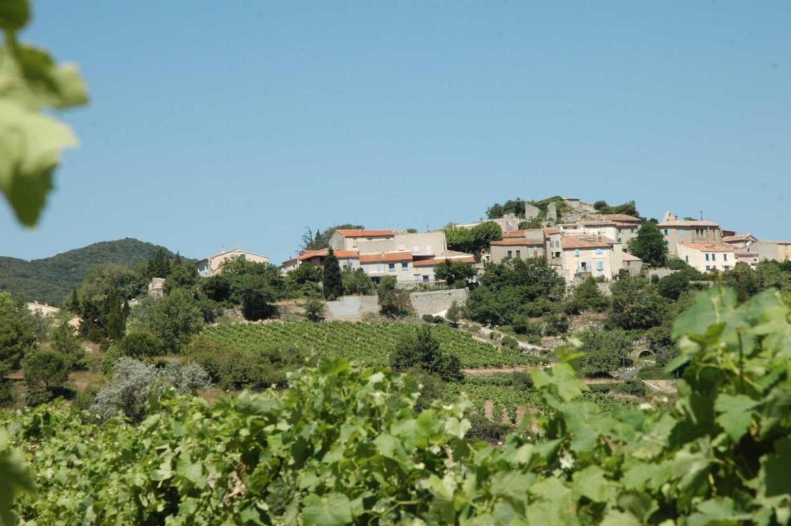 Cecile Villa Montgaillard Kültér fotó