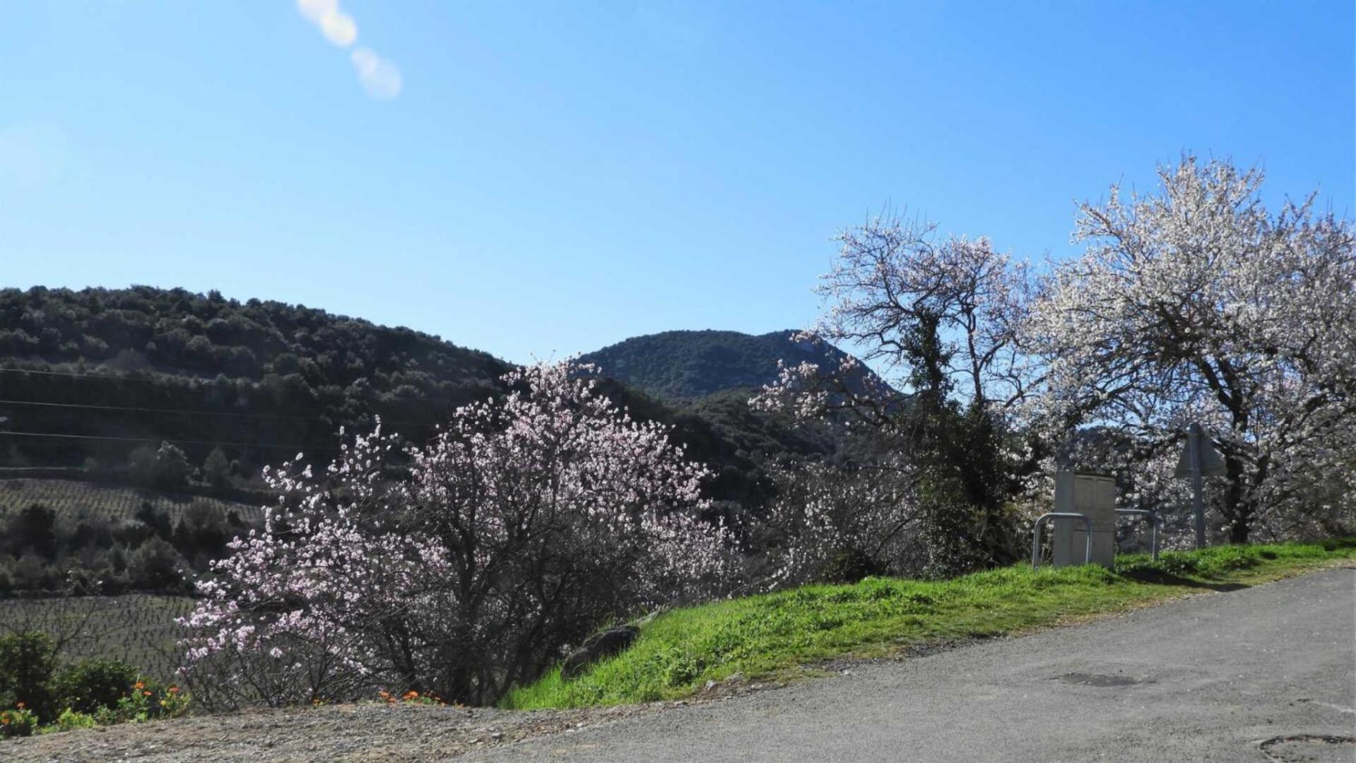 Cecile Villa Montgaillard Kültér fotó